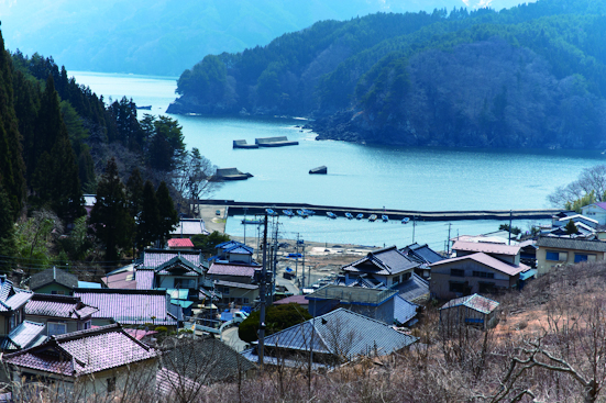 花露辺地区に学ぶ住民主導の復興まちづくり 自分たちらしい海の見える暮らし方へ