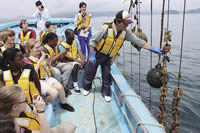 American students listen to a fisherman talk about scallop farming