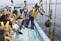 Fishing experience program resumes in Minami Sanriku