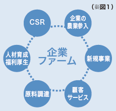 「企業ファーム」が提供する6つの価値。この中から各企業のニーズに合わせ、農村資源を使った具体的な取り組みを提案している。