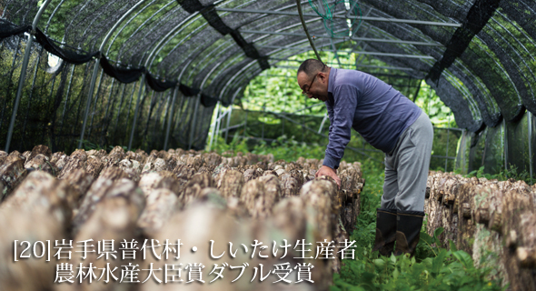 東北のいまvol.20 岩手県普代村・しいたけ生産者　農林水産大臣賞ダブル受賞