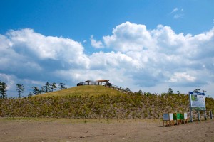 ガレキ（再生資材）から再生した資材を造成土として活用した千年希望の丘。今年５月に２回目の植樹祭を行い、約７万本の苗木が植えられました