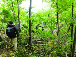 ワークショップと平行 して行った現地調査で避難路を体感した