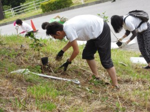 職人さんの指導を受けたあと、各々が苗木を手に取り植樹を行う