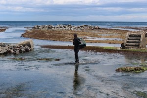 ウニを育てるウニ牧場。当時の組合長、生産者の判断で、40年ほど前に浅瀬の岩盤を削り築いた。4年間で食べ頃に育つウニは、最後の1年間、ここで北三陸わかめや昆布をたっぷり食べて育つ。エサの違いが味の違いとなる。