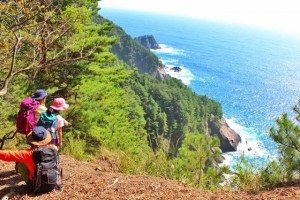 森と海の恵み豊かな尾崎半島（釜石）。半島内の集落「尾崎白浜」には独自の歴史と文化が息づく