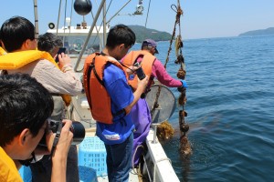 02	釜石は「鉄と魚とラグビーの街」。漁業は観光戦略でも重要なコンテンツ