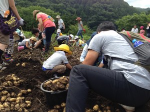 03	じゃがいも収獲体験の様子。長く滞在してもらうために、体験は重要なコンテンツ