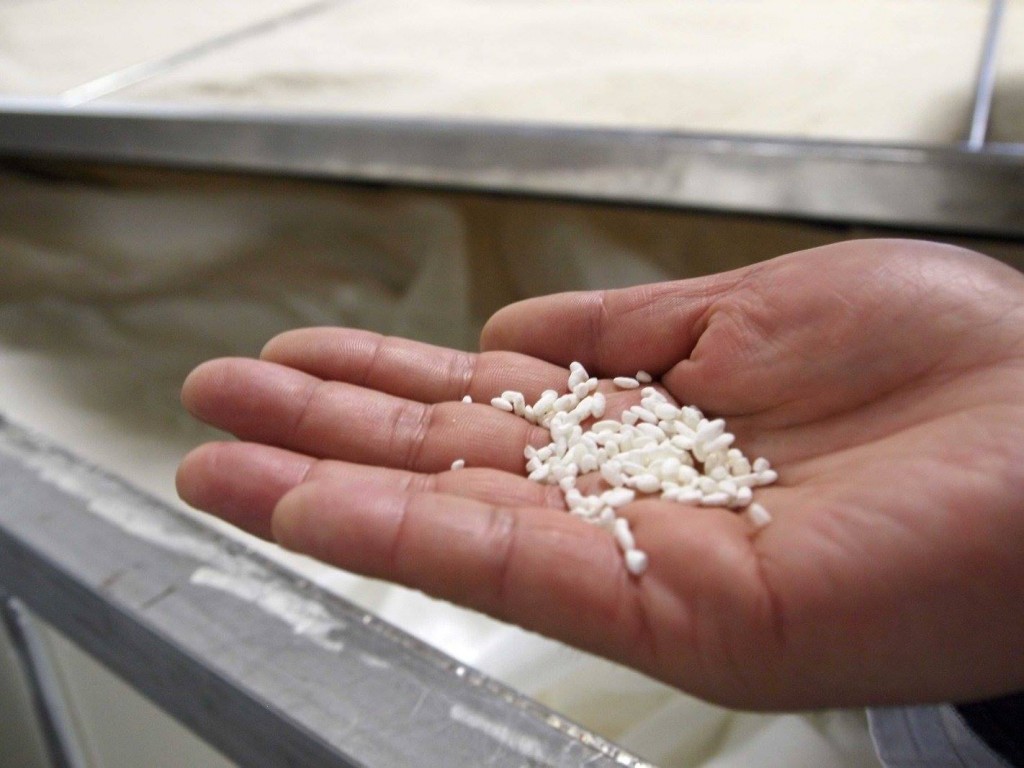 米や麹の品質は、杜氏たちの目でしっかりとチェックされています。