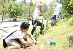 【企業がつなぐチカラ】椿の里の再生を目指して〜資生堂、大洋会が大船渡で植樹